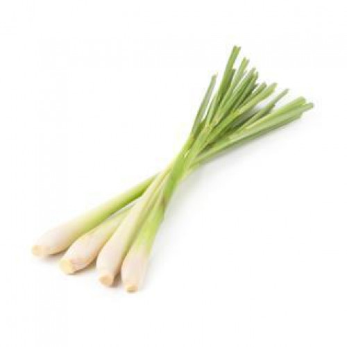 CITRONNELLE (Pièce)