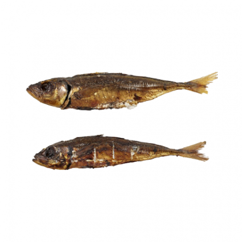 CHINCHARD OU APOLLO FUMÉ (X2)