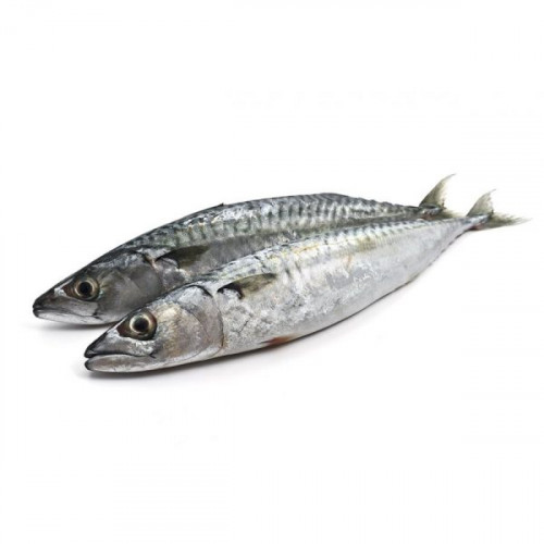 CHINCHARD (1kg)