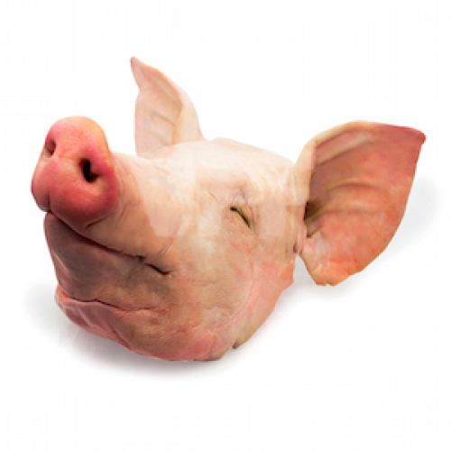TETE DE PORC (1kg)