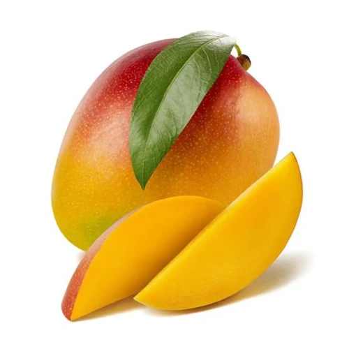 MANGUE (Unité)