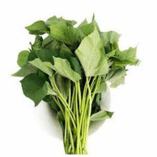 FEUILLES DE PATATE (1 BOTTE)