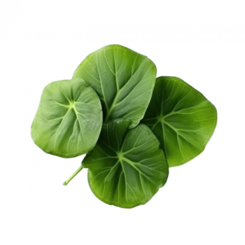 FEUILLE DE TARO (1 BOTTE)